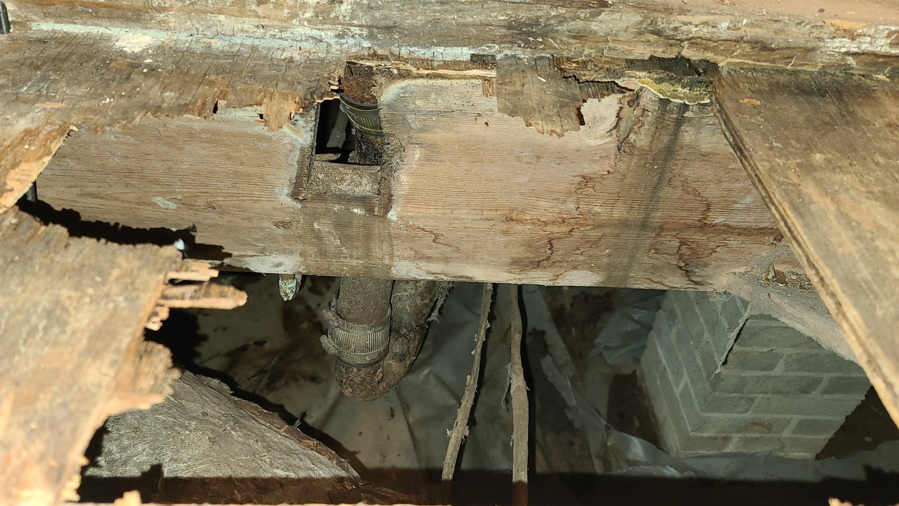 Water damaged floor framing